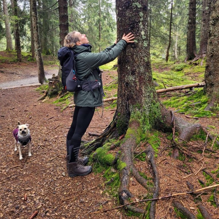 Tierkommunikation und Energiearbeit Person mit Hund in einem Wald, der einen Baum berührt.